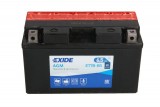 Maintenance free battery