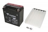 Maintenance free battery