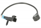 Knock sensor