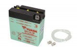 Maintenance free battery