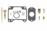 Carburettor repair kit