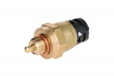Fuel temperature sensor