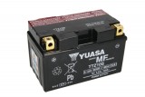 Maintenance free battery