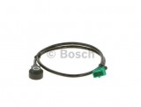Knock sensor