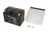 Maintenance free battery