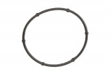 EGR valve gasket