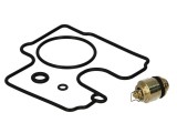 Carburettor repair kit