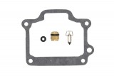 Carburettor repair kit