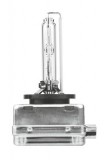 D1S bulb
