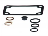 Driver's cab tilt pump repair kit