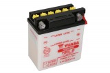 Maintenance free battery