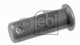 Brake shoe pivot