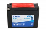 Maintenance free battery