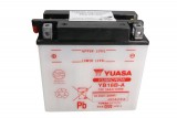 Maintenance free battery