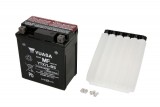 Maintenance free battery