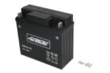 Maintenance free battery
