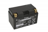 Maintenance free battery