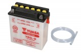 Maintenance free battery