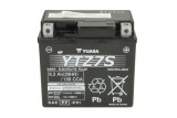 Maintenance free battery