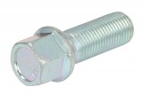 Wheel bolt