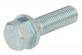 Wheel bolt