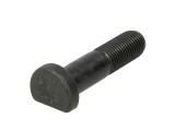 Wheel bolt