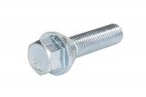 Wheel bolt