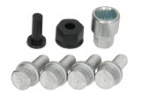 Securing bolt