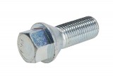 Wheel bolt