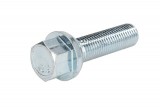 Wheel bolt