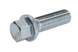 Wheel bolt