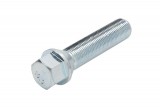 Wheel bolt