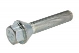 Wheel bolt