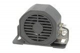 Reversing signal