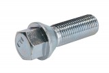 Wheel bolt