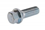 Wheel bolt