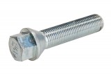 Wheel bolt