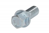 Wheel bolt