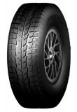 Winter PKW tyre