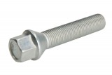 Wheel bolt