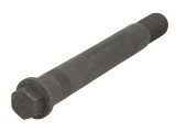 Leaf spring bolt