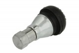 Tyre valve stem