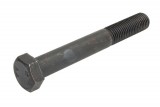 Raw HEX bolts