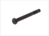 Leaf spring fixing bolt