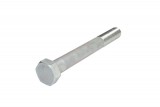 Leaf spring fixing bolt