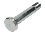 Leaf spring fixing bolt