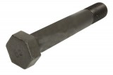 Leaf spring fixing bolt