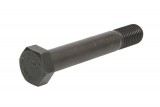 Leaf spring fixing bolt