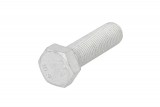 Raw HEX bolts