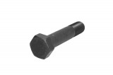 Leaf spring fixing bolt